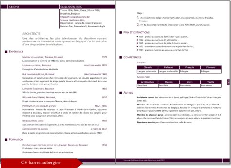 Curriculum Vitae Resume Cv Barres Aubergine Extensions