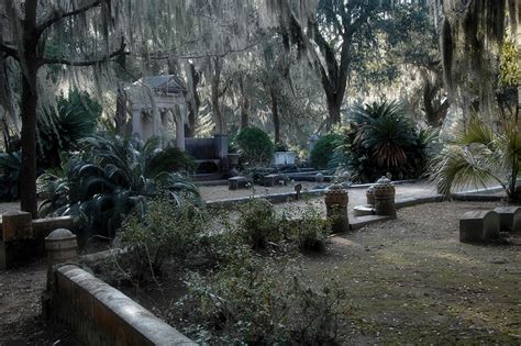 Bonaventure Cemetery Savannah Vanishing Georgia Photographs By