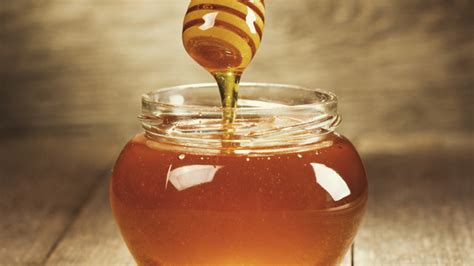 Tekan tombol whatsapp (wa) dibawah ini untuk pemesanan madu di toko online madduh.com. Cara Makan Madu Kelulut | Lulu Tree PeDAS - Nik Nock