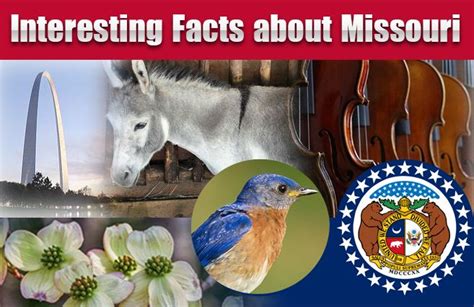 Interesting Facts About Missouri Fun Facts Missouri Things To Come