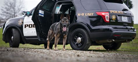 Law Enforcement Specific K9 Tactical Gear