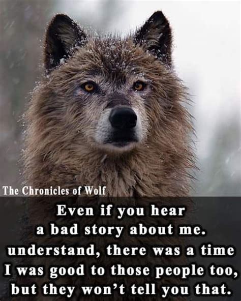 The Chronicles Of The Wolf In 2020 Wolf Quotes Wolf Spirit Told You So