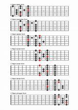 Scale Major Guitar Images