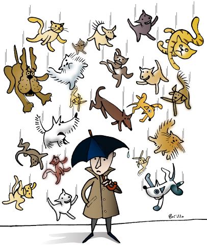 The idiom raining cats and dogs has been a common english expression since at least the 1800's. Raining Cats Dogs, Idioms Raining, Raining Cats And Dogs ...