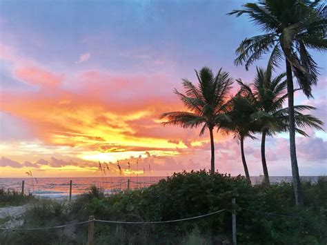 Pin By Tracy Wilson On Beach Sunrise Sunset And Palm Trees Sunrise