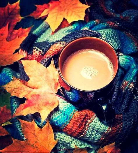 52 Best Beautiful Autumn Images On Pinterest Autumn Fall
