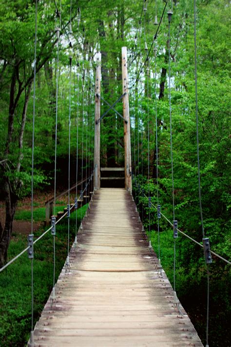 Bridges To Cross Nature Landscape Photography