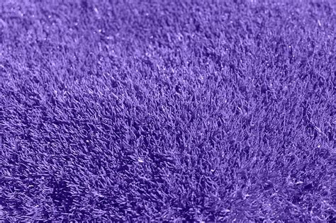 Royalty Free Photo Closeup Photography Of Fleece Purple Textile Pickpik