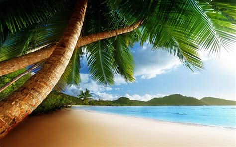 Beach Caribbean Hd Desktop Wallpapers 4k Hd