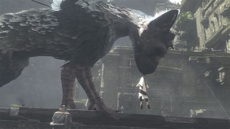 The Last Guardian 4k Ultra Hd Wallpaper And Background Image