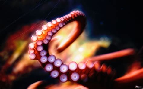 Octopus Tentacles Underwater Blurred Hd Wallpapers Desktop And