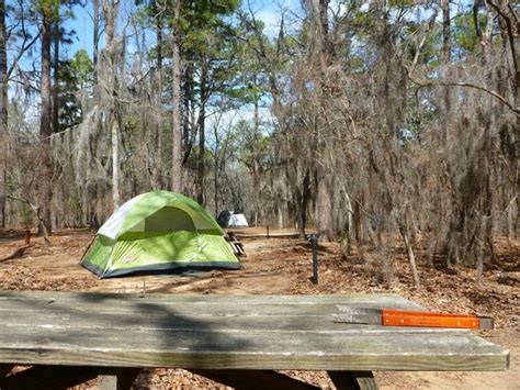 These cabins are about 5 minutes away (if you drive) from the main part of. Our new tent - Picture of Poinsett State Park, Wedgefield ...