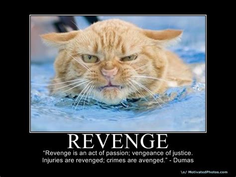 Funny Revenge Quotes Sayings Quotesgram
