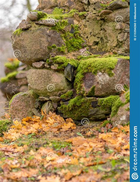 Old Stones Overgrown With Moss And Lichens Stone Wall From Old Castle