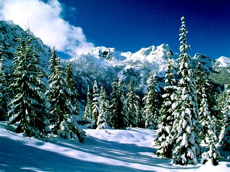 Free Download Winter Nature Snow Scene Free Desktop Wallpapers For