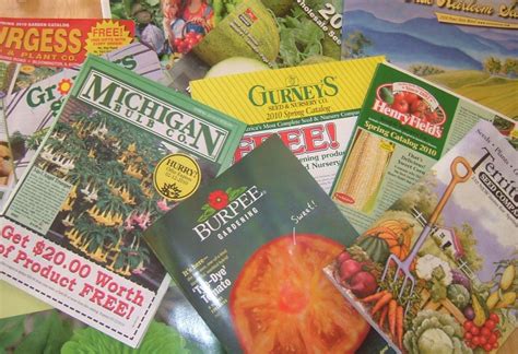 Sitting lakeside in front of a campfire with friends and family. Seed Catalogs: Reading Between the Lines - - The ...