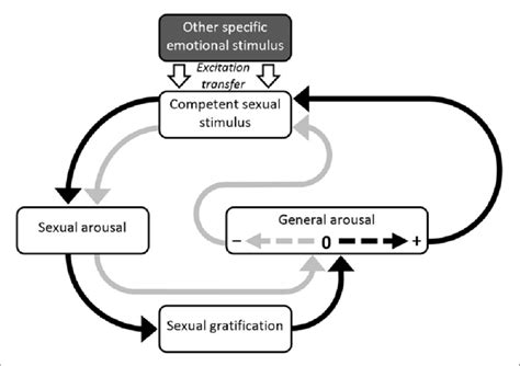 a schematic representation of self regulation by means of sexual behavior download scientific