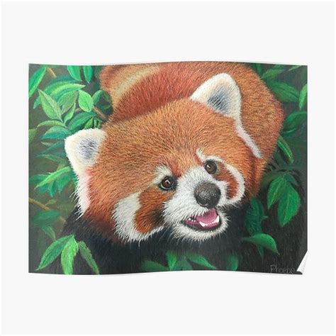 Red Panda Poster For Sale By Artbyphoebeflag Redbubble