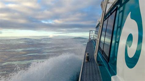 Stewart Island Experiences Real Journeys Ferry 35 Must Do New Zealand