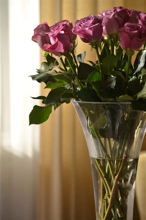 Gambar Rangkaian Bunga Di Vas Gambar Bunga