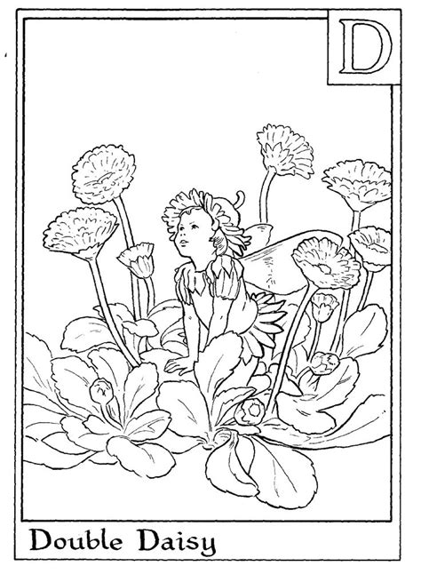 Print all of them and keep them nearby with some colored pencils for anytime you start to feel a little stressed. 214 best images about Fairies - Coloring pages on Pinterest | Flower fairies, Coloring and Print ...