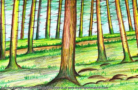 Forest Trees Colored Pencils Drawing Forest Trees With Color Pencils