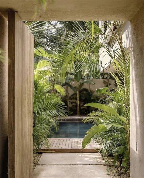 An Open Door Leading To A Small Pool Surrounded By Trees And Plants In