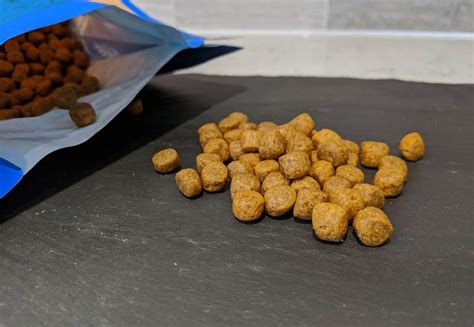 If you need to get in touch with customer service, you shouldn't have a tough time doing so. Wild Earth Dog Food Review Vegan Perfection? - Woof Whiskers
