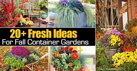 Fresh Ideas For Fall Container Gardens