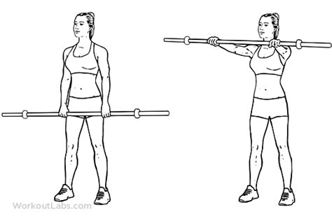 Barbell Front Raise Illustrated Exercise Guide Workoutlabs