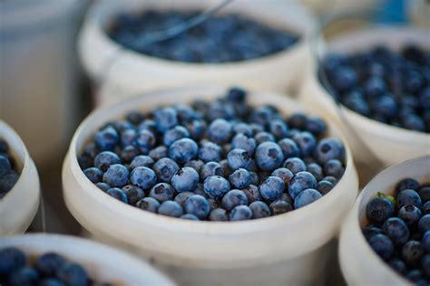Us tablespoons to ounces of blueberries. There are lots of great health reasons you should eat ...