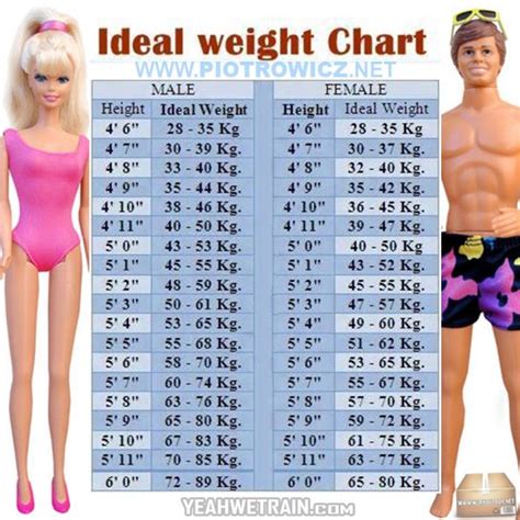 Female Weight Chart This Is How Much You Should Weigh According To The Best Porn Website