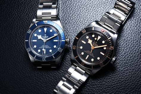 Tudor's most acclaimed watch in recent times, the Black ...