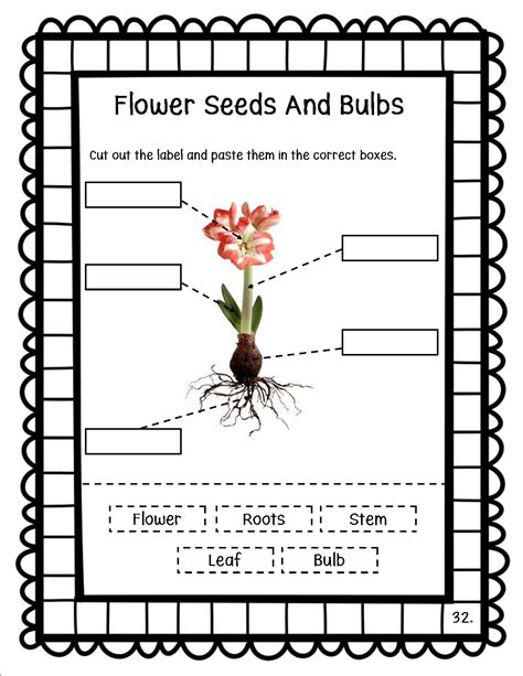 Plant Unit Grade 1 And 2 Up Teacher Plants Unit Education Sites