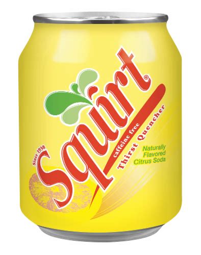 Squirt Citrus Soda Cans Fl Oz Foods Co