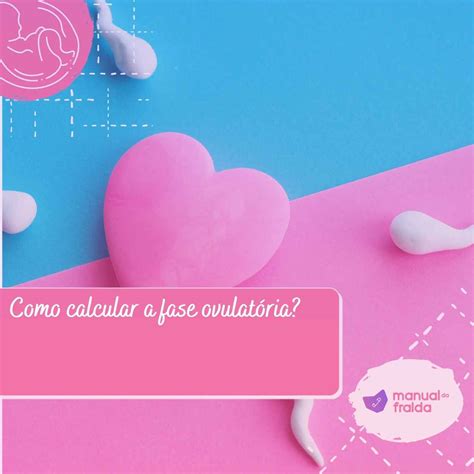 O Que é Fase Ovulatória
