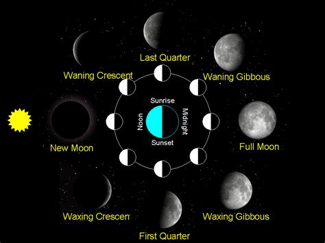 Lecture 8 The Phases Of The Moon