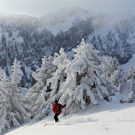 Activit S Neige Site Officiel De La Chartreuse En Savoie Et Is Re Au Coeur De Rhone Alpes