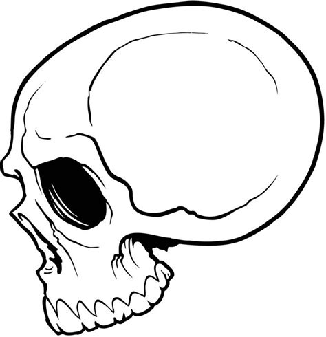 Skull Outline Clipart Best