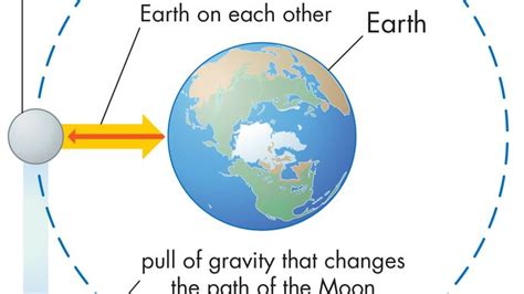Gravity Newtons Law Of Gravity Britannica