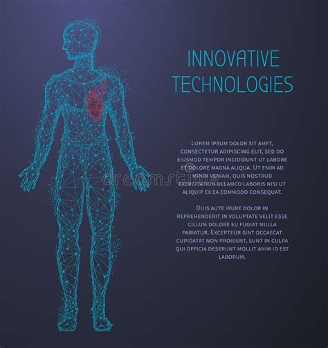 Medical Research Of Human Cardiovascular System Organ Polygonal Human