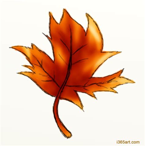 Autumn Leaf Drawing At Getdrawings Free Download
