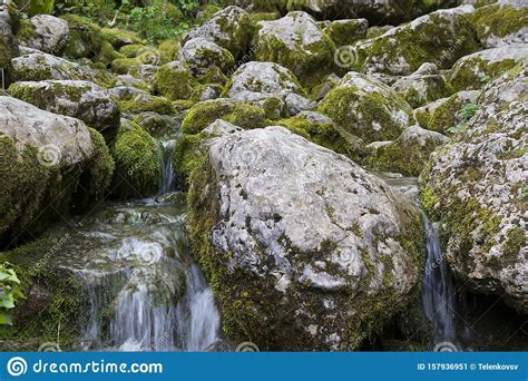 Water Flows Over Stones Covered With Green Moss Naturalness In Nature