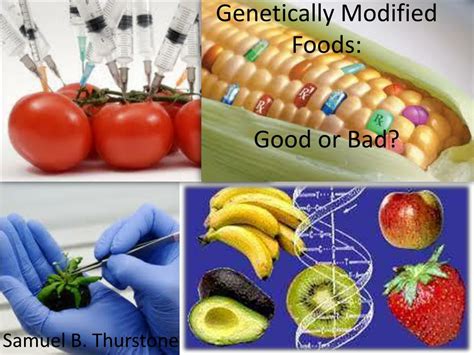 Ppt Genetically Modified Foods Good Or Bad Powerpoint Presentation