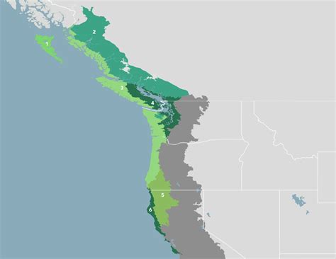 Pacific Northwest Coastal Forests Na15 One Earth
