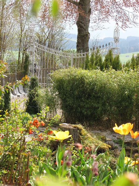 Check spelling or type a new query. Paradiesgarten Maag #Paradiesgarten #Frühjahr #Garten # ...