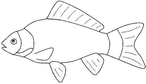 Fish Clip Art Black And White Printable Saltwater Fish Outlines Clipartix