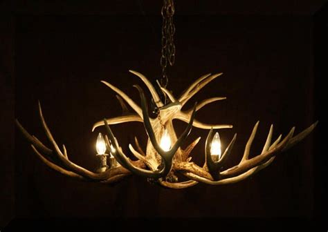 Wild West Designs - Antler Chandelier Gallery | Antler lights, Rustic chandelier, Deer antler decor