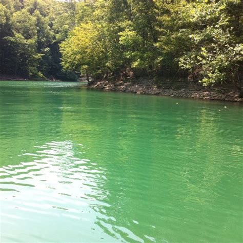 Lakefront property on dale hollow lake. Beautiful green water on Dale Hollow lake. | Lake vacation, Vacation memories, Places to travel
