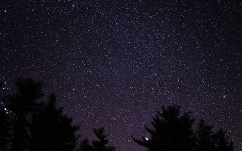 Night Sky Star Space Starry Wood Dark 800x500 5778